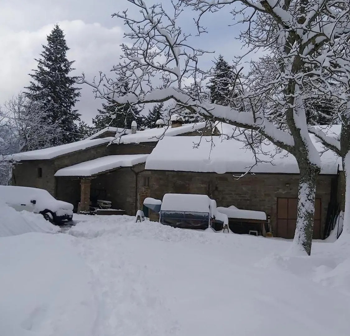 So Magic - La Casa Nel Bosco Villa San Godenzo