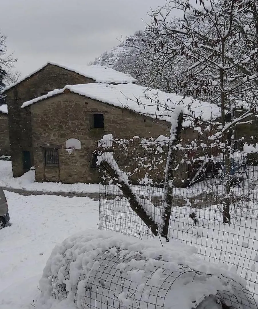 Holiday home So Magic - La Casa Nel Bosco Villa San Godenzo