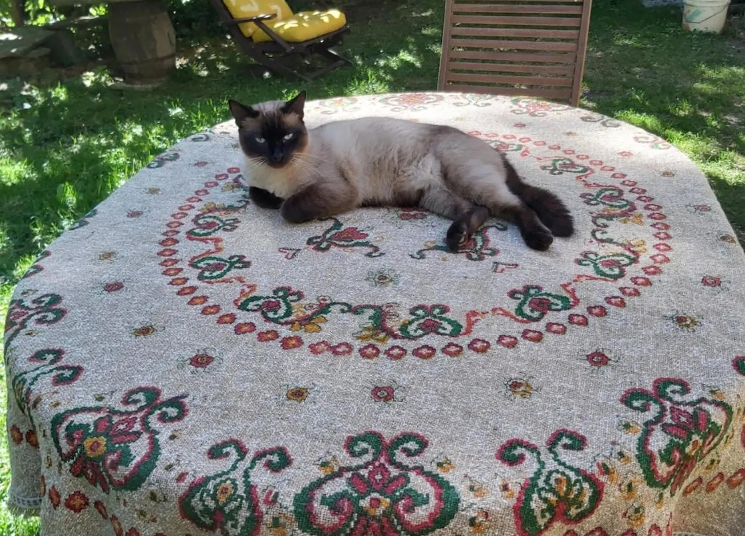 Holiday home So Magic - La Casa Nel Bosco Villa San Godenzo