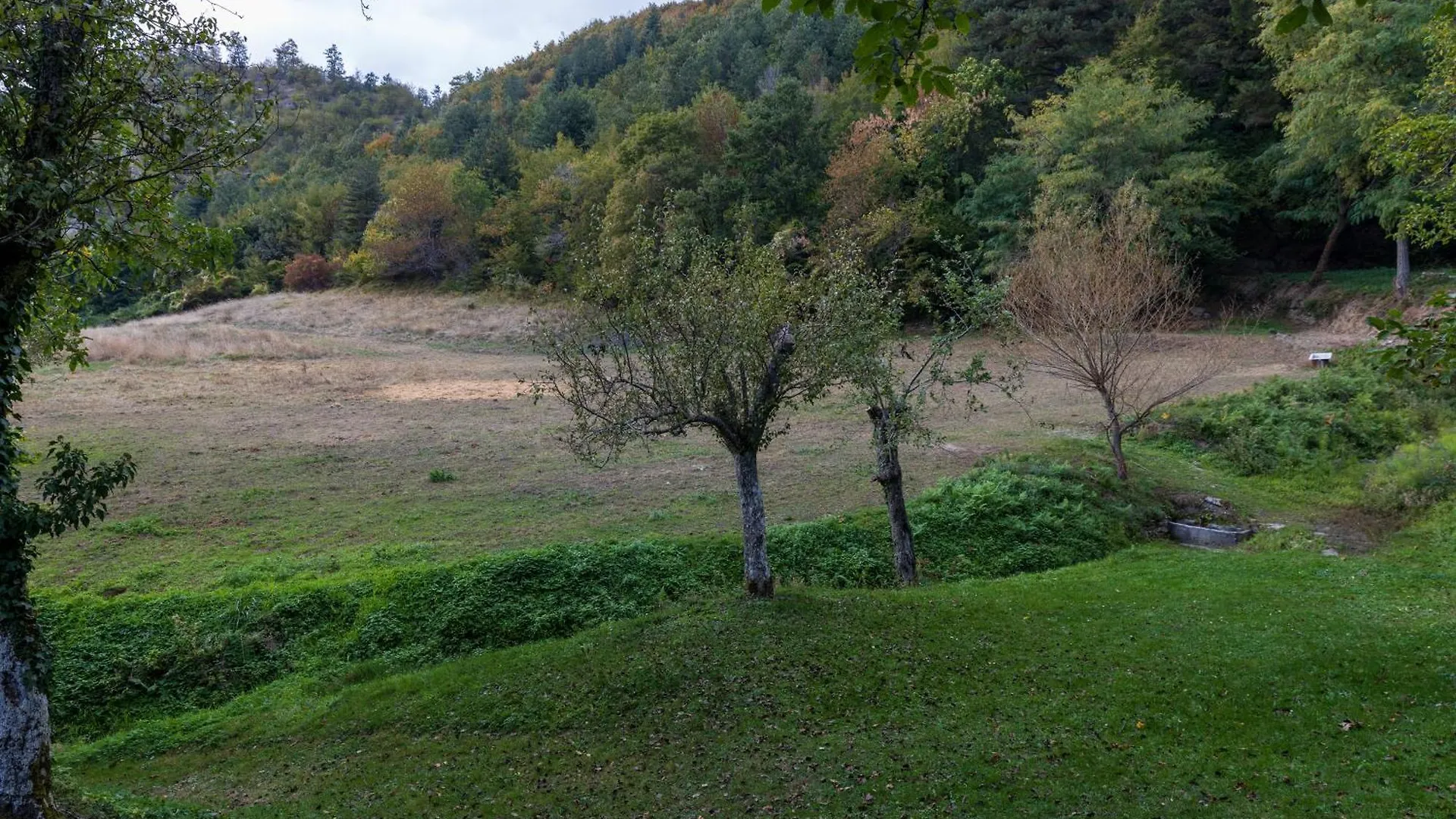 So Magic - La Casa Nel Bosco Villa San Godenzo Holiday home