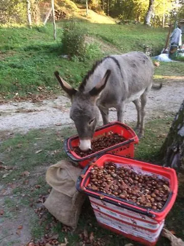 Holiday home So Magic - La Casa Nel Bosco Villa San Godenzo